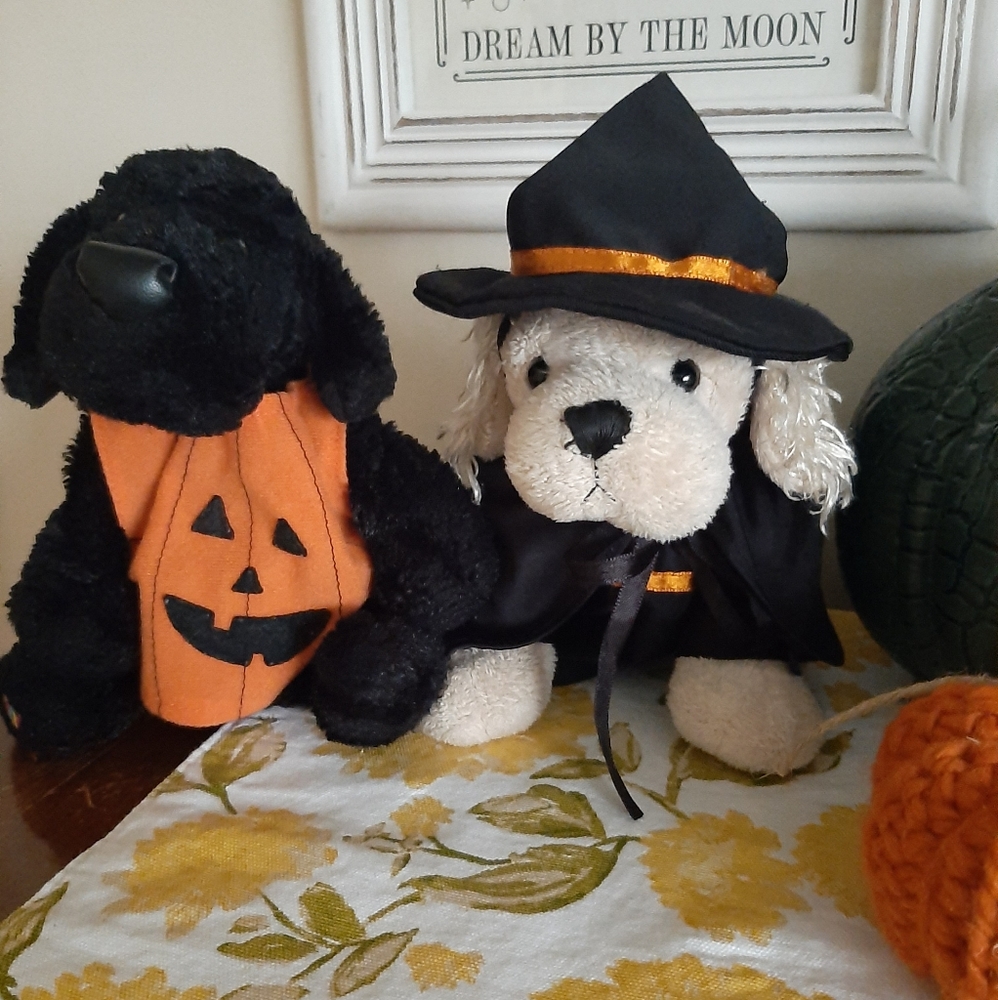 Webkinz Halloween costumes